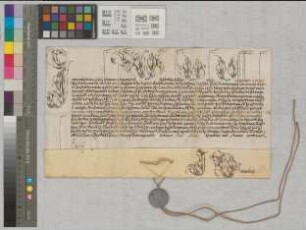 Papst Innozenz XI. teilt den Vasallen der Diözese Paderborn die Bestätigung Hermann Werners Bischof von Paderborn mit. USS