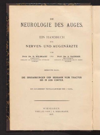 7: Die homonyme Hemianopsie nebst ihren Beziehungen zu den anderen cerebralen Herderscheinungen