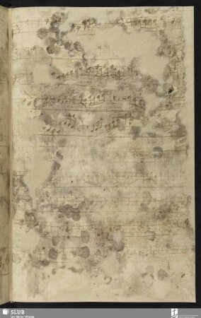 [Cesare, Giovanni Martino:] La bavara