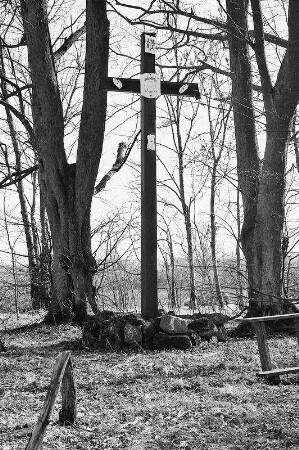 Kreuz und Heiligenhäuschen am Heidegrab (Heiligenhäuschen , Kreuz); Herbstein, Am steinigen Acker