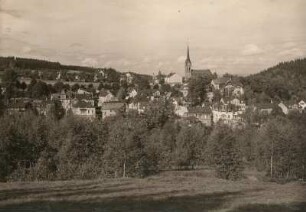 Bad Elster, Ansicht von Süden