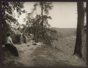Blick von der Ruine Falkenburg auf die Gauseköte. Detmold. Berlebeck