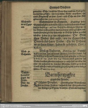 Barmhertzigkeit gegen die Feinde