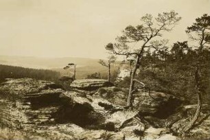 Tyssaer Wände. Blick nach Norden ins Bielatal auf Eiland. Die Verwitterung, an den Klüften einsetzend, zerlegte die Oberfläche des Kreidesandsteins (Unterturon) in einzelne Reste