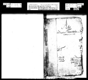 Tanne Stolln am Kahleberg bei Altenberg