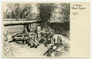 A Water Wheel Egypte.