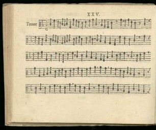 XXV. Sine textu
