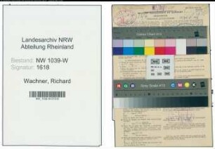 Entnazifizierung Richard Wachner , geb. 06.01.1900 (Bankinspektor)