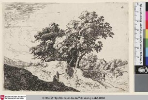 [Die Bäume auf dem Hügel; Le bouquet d'arbres au haut de la colline]