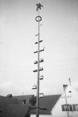 Strass [Burgheim]: Maibaum