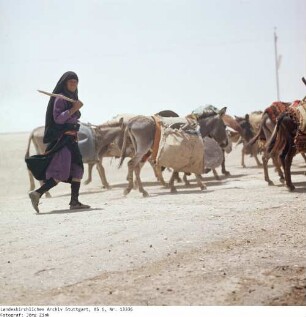 Irak: Karawanenweg