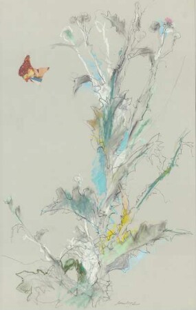 Große Silberdistel mit Schmetterling