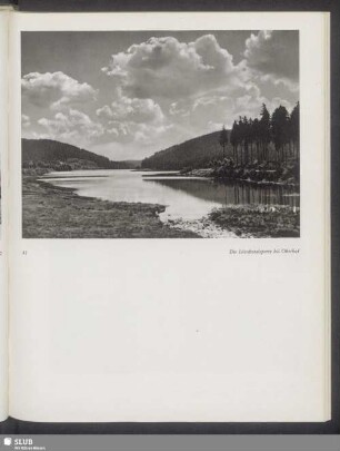 Die Lütschetalsperre bei Oberhof