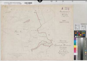 Amecke (Sundern), Teilung der Feldmark Amecke, Bl.8 Brouillonkarte 1 Flur 5