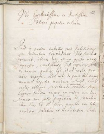 Brief 13