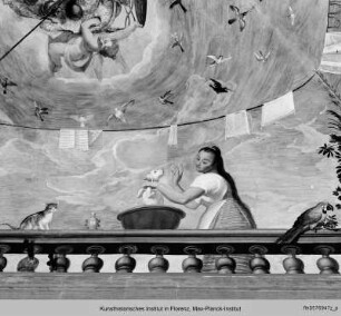 Wand- und Deckendekoration : Wappen der Medici mit Vögeln und Frauen an einer Balustrade