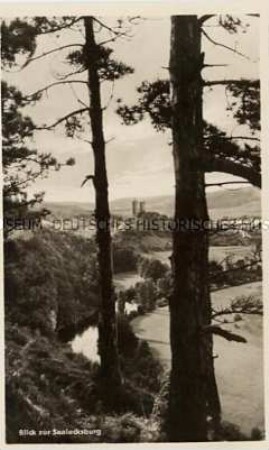 Landschaft mit Saalecksburg