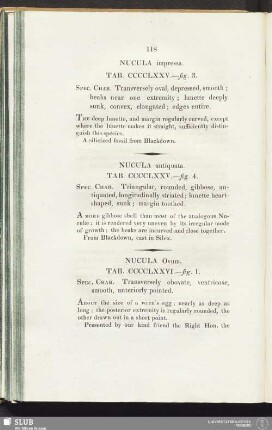 Nucula impressa. Tab. CCCCLXXV. - fig. 3