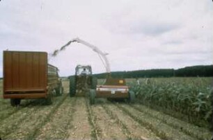 Fotografie: Futtererntetechnik, Feldhäcksler gezogen, Maissilage, Maisgebiss