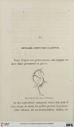 XI: Anthologie, lumière dans la question