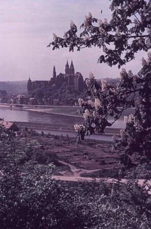 Meißen. Blick über die Elbe zur Burg