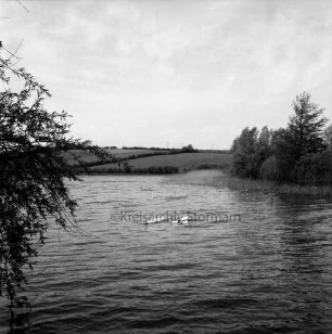 Moorteich mit Wassergeflügel: rechts und links Bäume: hinten Knicklandschaft