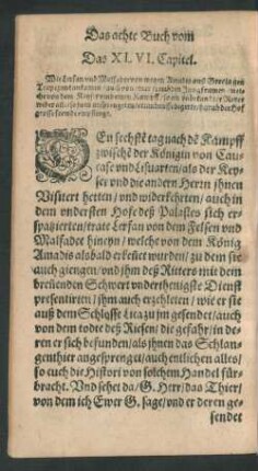 Das XLVI. Capitel.