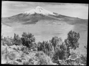 Der Cerro Cabaraya mit Queñua-Gehölz und gelbem Ichu im Vordergrund