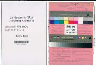 Entnazifizierung Karl Tries , geb. 09.10.1893 (Klempner)
