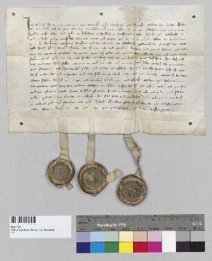 Hartwig, Altmann und Eberwein von Degenberg und ihre Ehefrauen verkaufen dem Kloster Seligenthal ihr Gut und ihre Gült zu Amselfing (Ansolfing). S1: Hartwig von Degenberg, S2: Altmann von Degenberg, S3: Eberwein von Degenberg