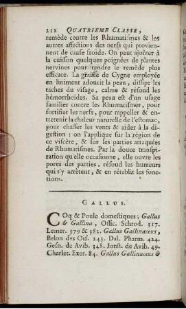 Gallus.
