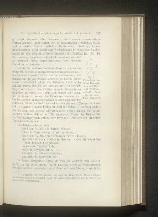 Protozoen-Literatur