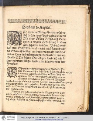 Hiob am 19. Capitel