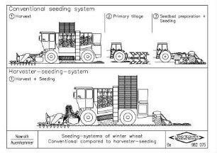 Seeding-systems of winter wheat, Conventional compared to harvester-seeding
