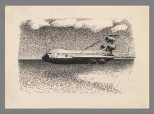 Ohne Titel (Wasser schöpfen aus Flugzeug)