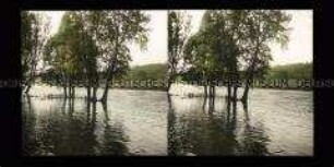 Blick bei Hochwasser am Rhein