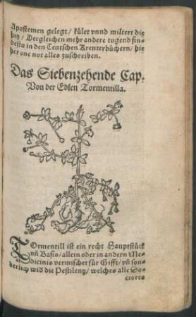 Das Siebenzehende Cap. Von der Edlen Tormentilla.