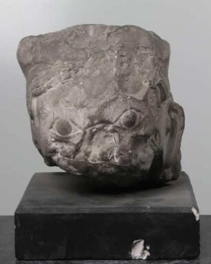 Fragment eines weiblichen Kopfes mit Polos