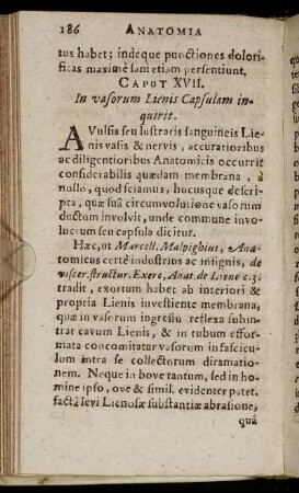 Caput XVII. - Caput XXV.