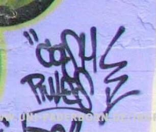 "caSH RuleS