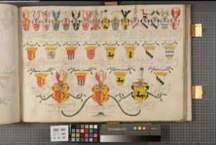 Proband: Wrede, Christian Maria Anton von; Vater: Wrede, Ferdinand Karl von; Mutter: Asseburg, Anna Elisabeth Clara Lucia von: Westfalen, Hzgtm, Ritterschaft