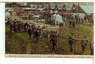 Deutsche Landwirtschafts-Gesellschaft. 22. Wanderausstellung Stuttgart, 25.-30. Juni 1908