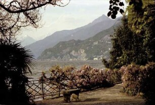 Bellagio: Seeblick von bewachsener Promenade