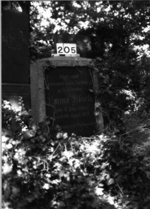 Grabstein 205 (Index: 100085297) Maße HxBxT: 100x50x24 cm Beschreibung: rechteckige Stele, Sockel, Schriftplatte: Grabstein 205