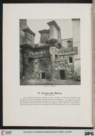 V: Forum des Nerva