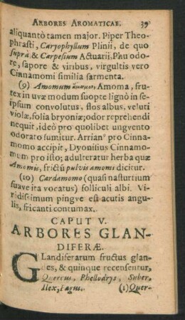 Caput V. Arbores Glandiferae.