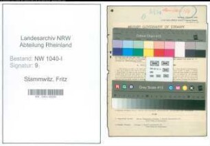 Entnazifizierung Fritz Stammwitz , geb. 06.10.1870 (Fabrikdirektor)