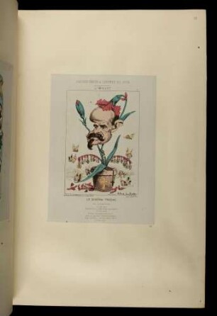 Fleurs, fruits et légumes du jour. L'œillet