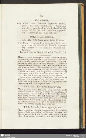 Solarium patulum. Tab. XI. - The lower right hand figures