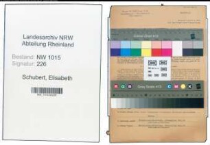 Entnazifizierung Elisabeth Schubert , geb. 03.12.1901 (Krankenpflegerin)